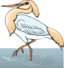 Heron In Water On One Leg Clip Art